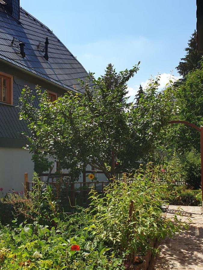 Oekologische Ferienwohnung Becker Kottmar Esterno foto